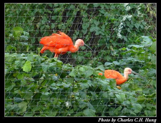動物園_24.jpg