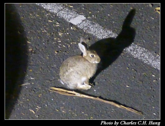 動物園_02.jpg
