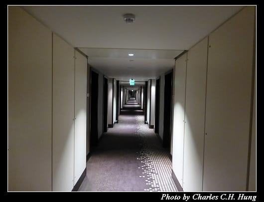 Hilton_26.jpg