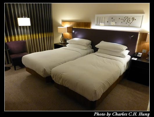 Hilton_30.jpg