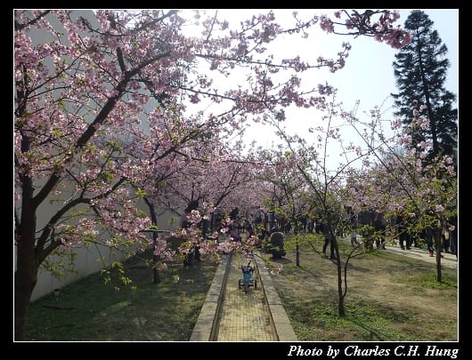 麗池公園_08.jpg