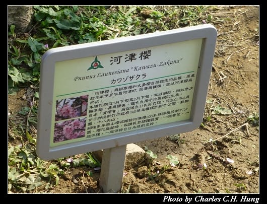 麗池公園_11.jpg