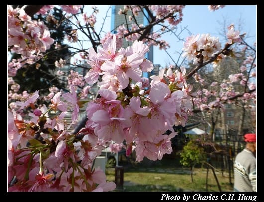 麗池公園_15.jpg
