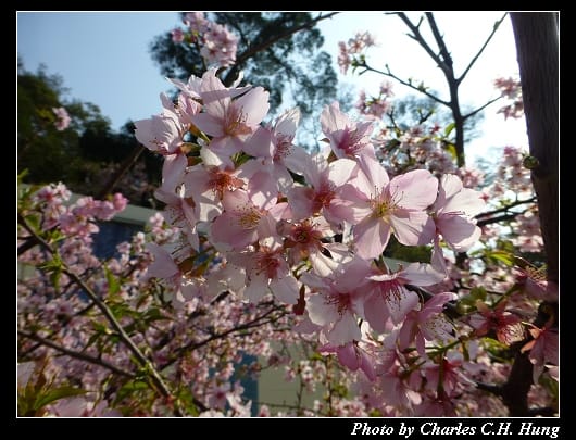 麗池公園_12.jpg