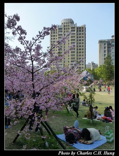 麗池公園_23.jpg