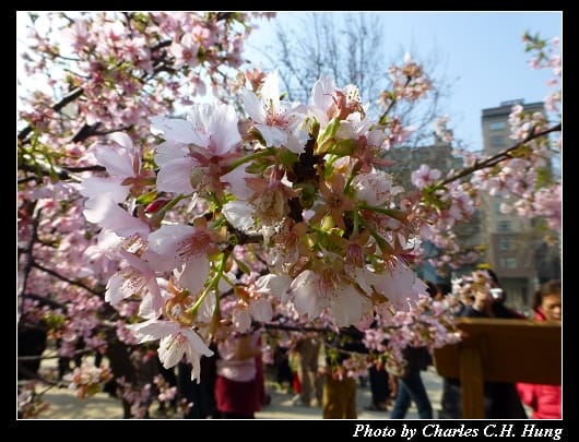 麗池公園_13.jpg