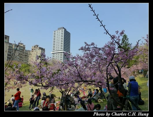 麗池公園_21.jpg