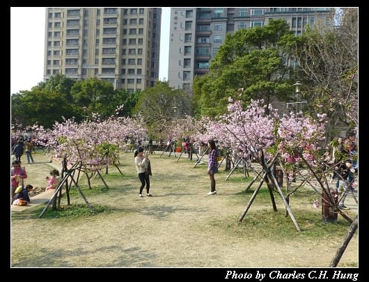 麗池公園_19.jpg