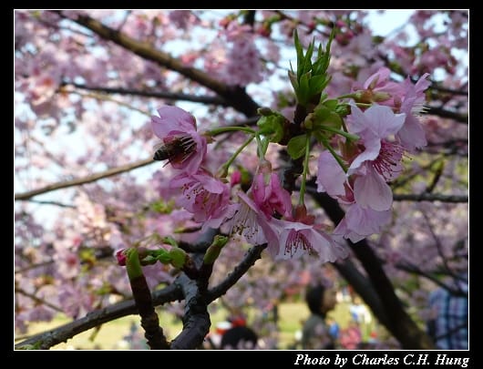 麗池公園_24.jpg