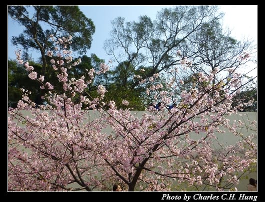 麗池公園_09.jpg