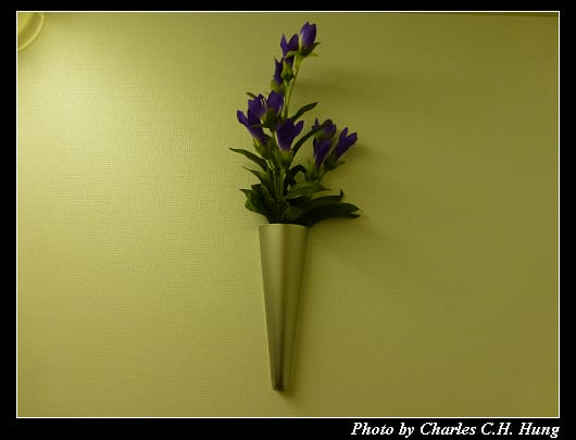 菁英艙_085.jpg