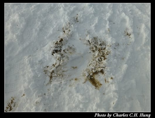 鳥取砂丘_15.jpg 鳥取砂丘_15.jpg