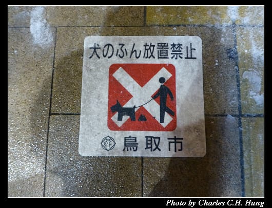 夜拍_15.jpg