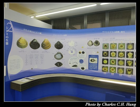 湖畔茶屋_39.jpg 湖畔茶屋_39.jpg