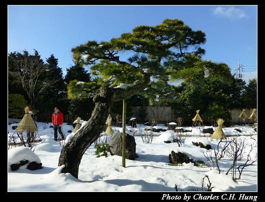 由志園_26.jpg