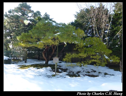 由志園_28.jpg