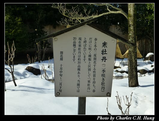由志園_23.jpg