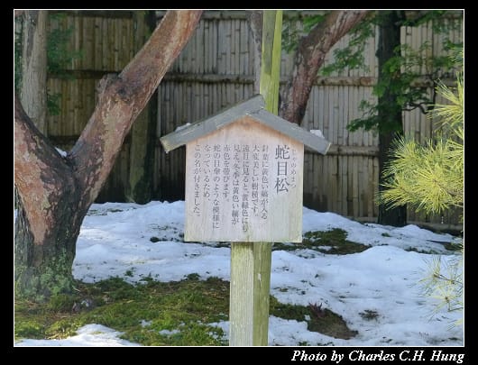 由志園_29.jpg