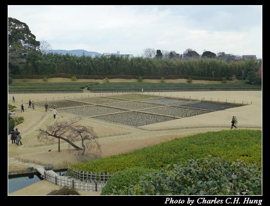 後樂園_50.jpg