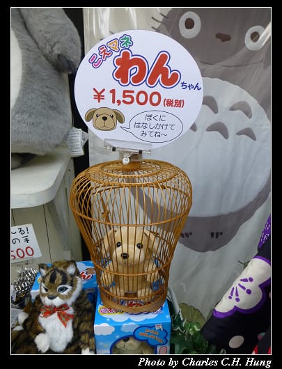 倉敷美觀_77.jpg 倉敷美觀_77.jpg