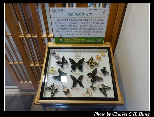 倉敷美觀_67.jpg 倉敷美觀_67.jpg