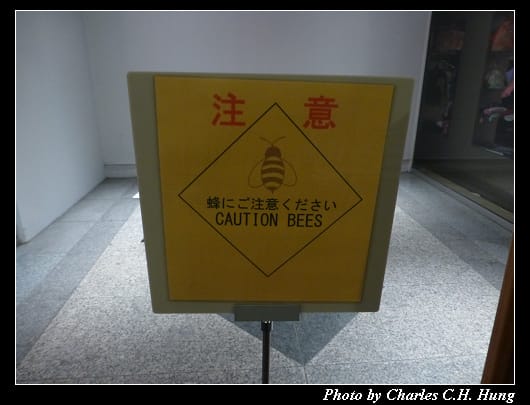 格蘭王子_73.jpg 格蘭王子_73.jpg