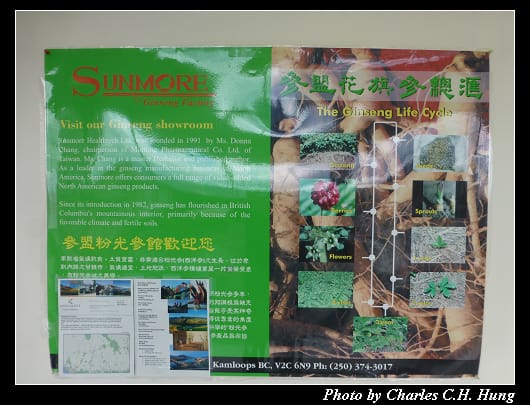 蔘盟西洋蔘_10.jpg