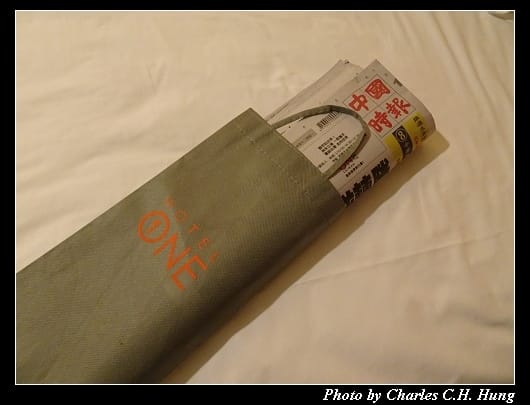 亞緻大飯店_86.jpg