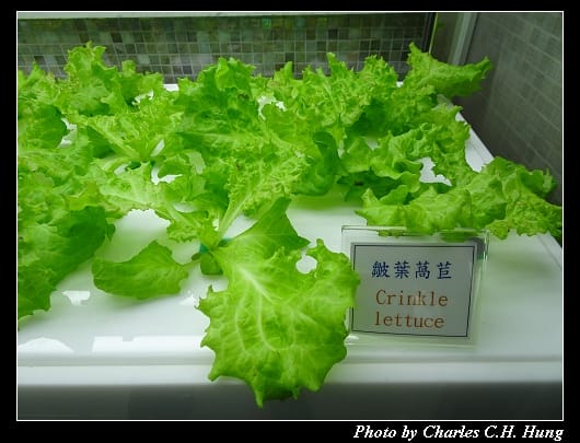 異料理_40.jpg