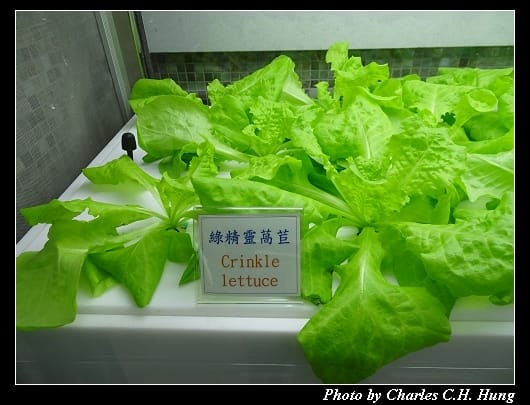 異料理_38.jpg