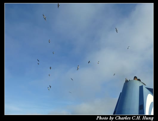 BCFerries_060.jpg