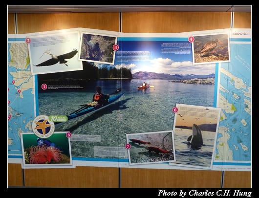 BCFerries_151.jpg