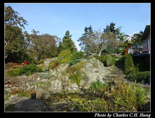 阿布哈茲花園_14.jpg 阿布哈茲花園_14.jpg