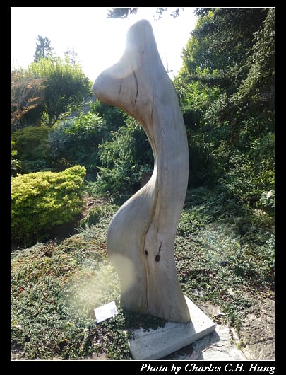 阿布哈茲花園_13.jpg 阿布哈茲花園_13.jpg