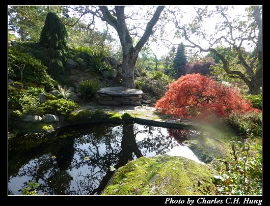 阿布哈茲花園_09.jpg 阿布哈茲花園_09.jpg