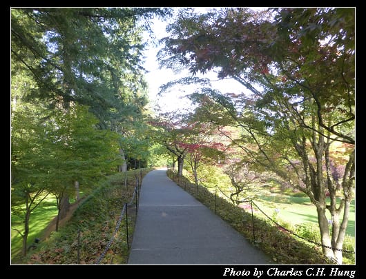 布查花園_040.jpg 布查花園_040.jpg