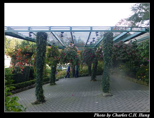 布查花園_022.jpg 布查花園_022.jpg