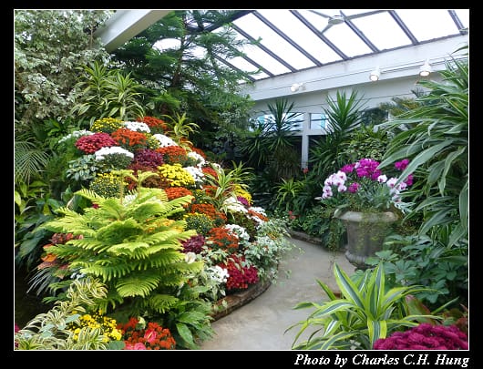 布查花園_109.jpg 布查花園_109.jpg