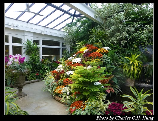 布查花園_110.jpg 布查花園_110.jpg
