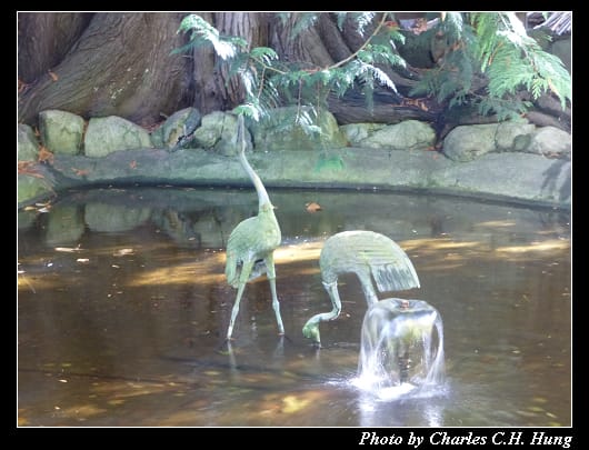 布查花園_085.jpg 布查花園_085.jpg