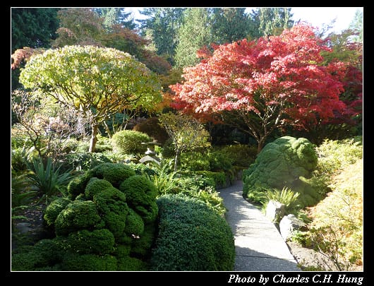 布查花園_083.jpg 布查花園_083.jpg