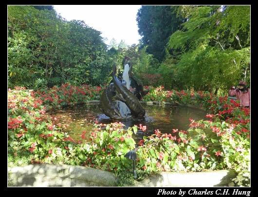 布查花園_068.jpg 布查花園_068.jpg