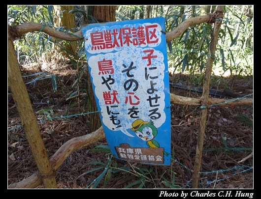 六甲山_74.jpg