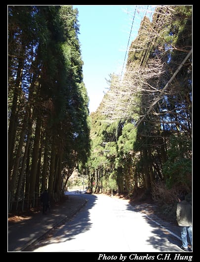 六甲山_73.jpg