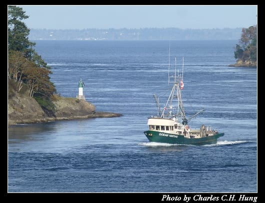 BCFerries_082.jpg
