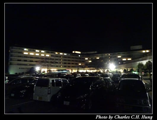 千鳥_37.jpg 千鳥_37.jpg