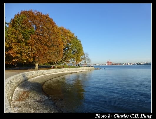 史丹利公園_24.jpg