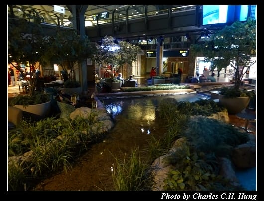 YVR_50.jpg