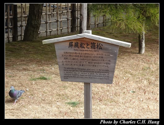 栗林公園_31.jpg 栗林公園_31.jpg