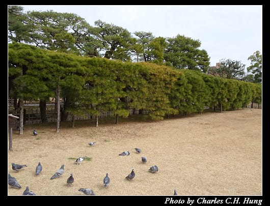 栗林公園_30.jpg 栗林公園_30.jpg